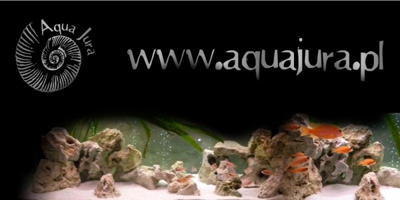 baner-aquajura2_korekta.jpg