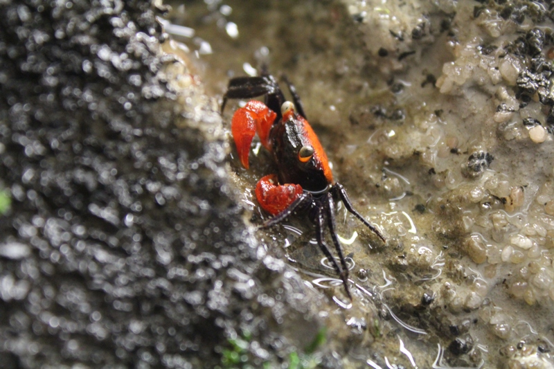 IMG_8635.JPG
