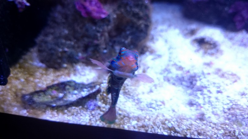 DSC_1138.JPG