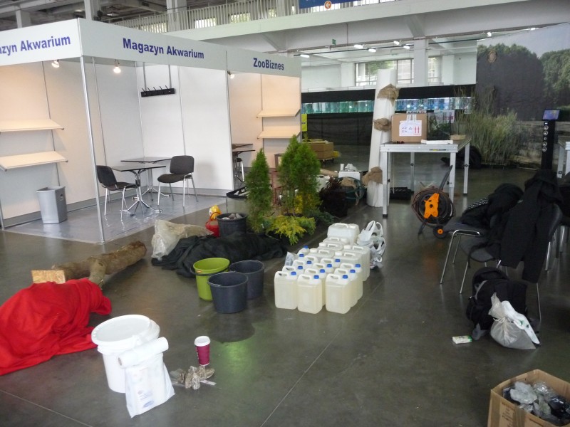 P1100166.JPG