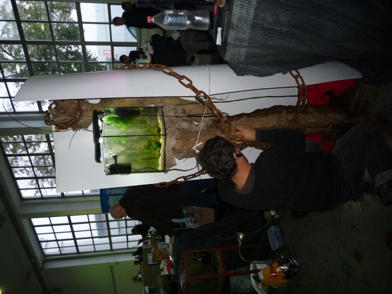 P1100170.JPG