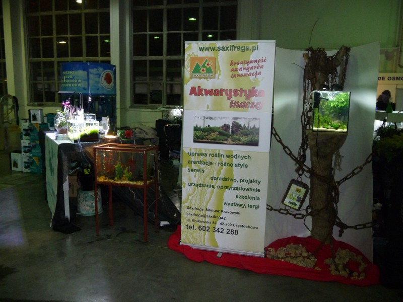 P1100216.JPG