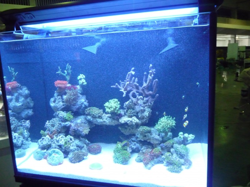 P1100217.JPG