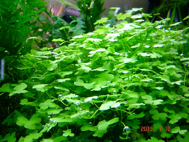 DSC08402.JPG