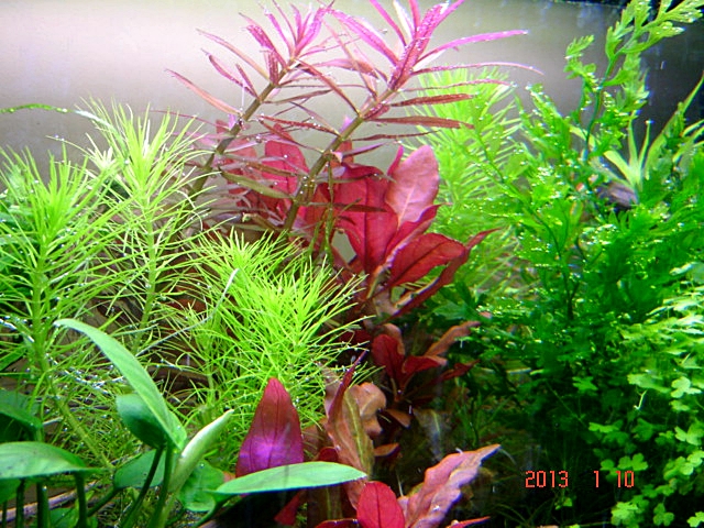 DSC08399.JPG