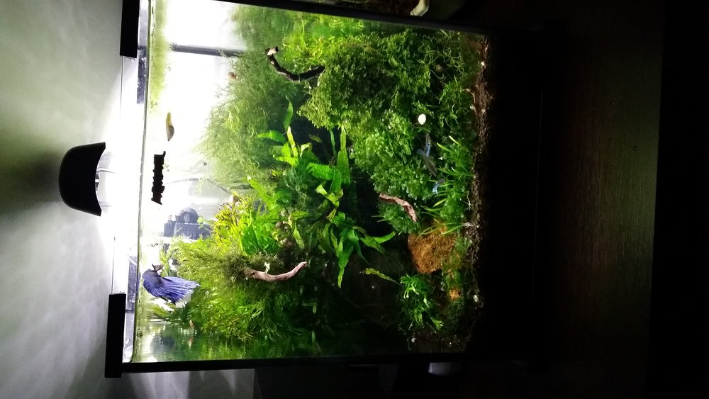20150928_222354.jpg