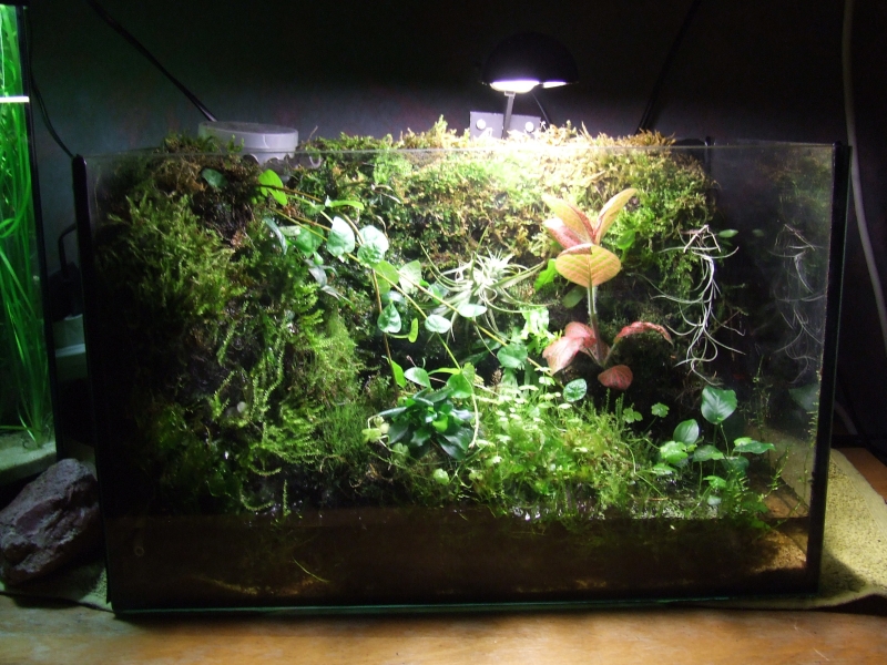 DSCF6287.JPG