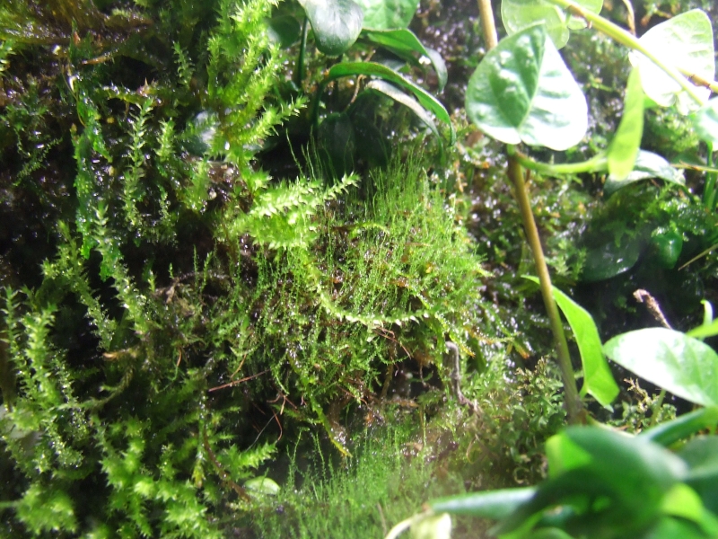 DSCF6289.JPG