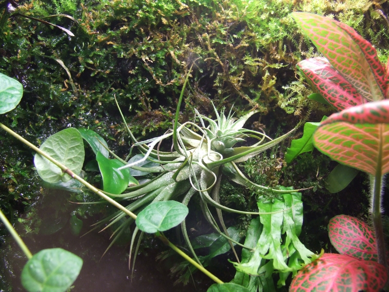 DSCF6290.JPG