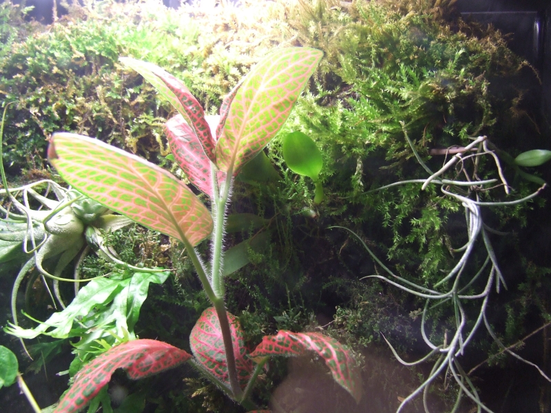 DSCF6291.JPG