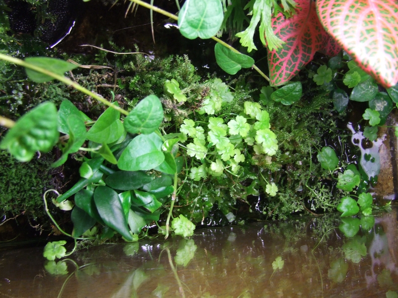 DSCF6293.JPG