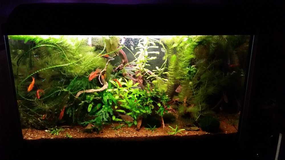 20150928_222532.jpg