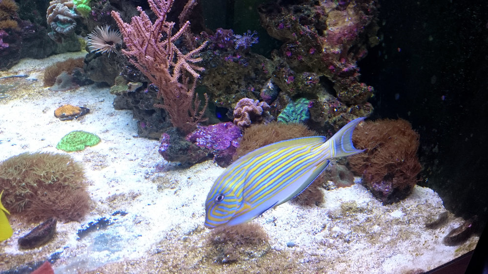 DSC_0959.JPG
