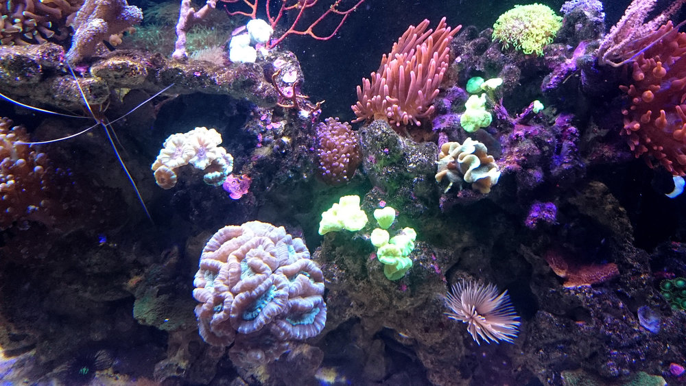 DSC_0962.JPG