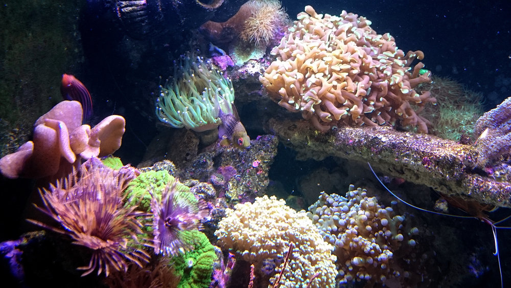 DSC_0966.JPG