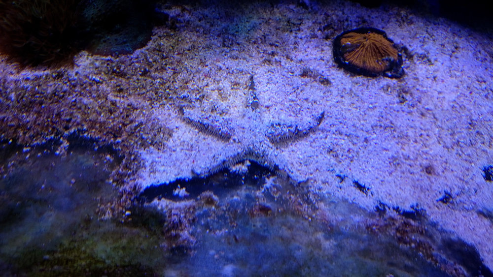 DSC_0970.JPG
