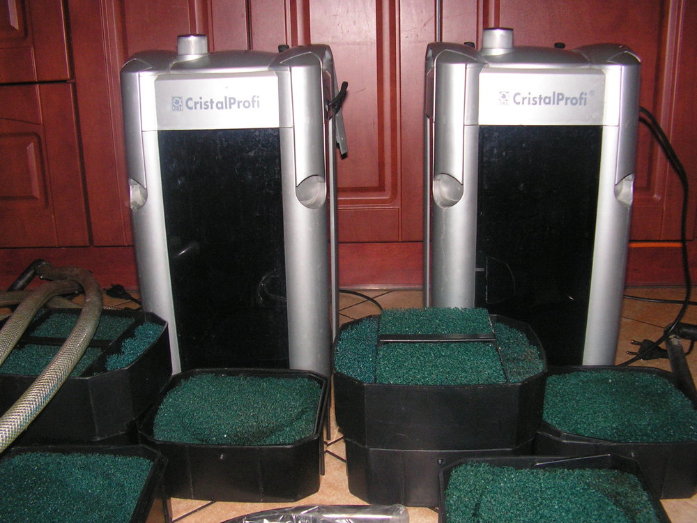 PICT1557.JPG