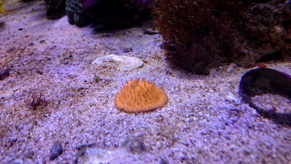 DSC_0965.JPG