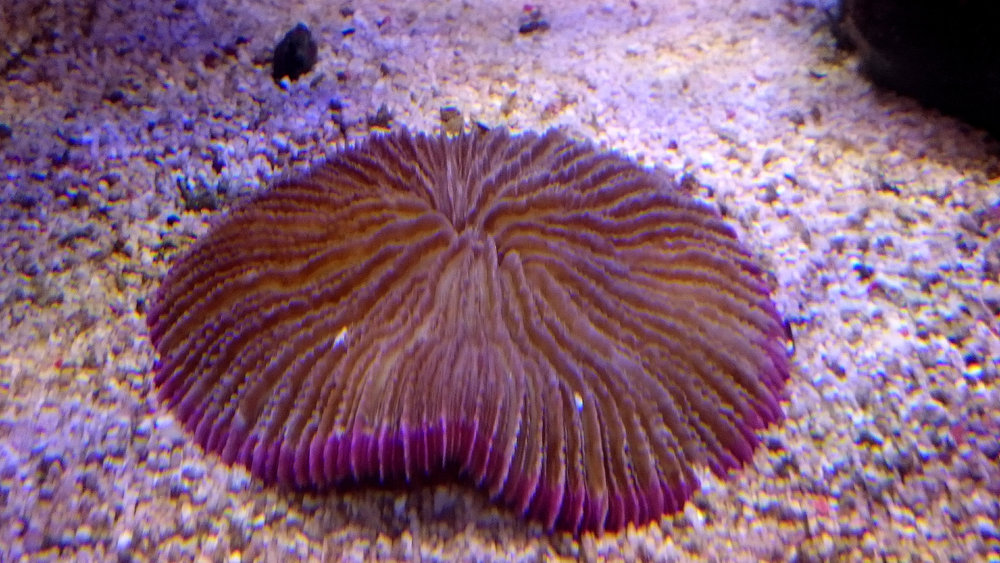 DSC_0977.JPG