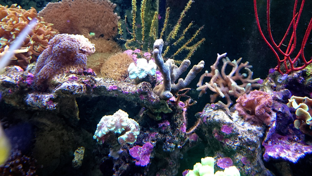 DSC_0962.JPG