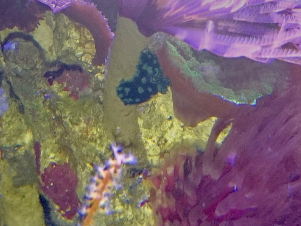 _20160218_201931.JPG