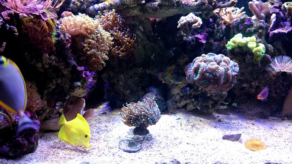 DSC_0976.JPG
