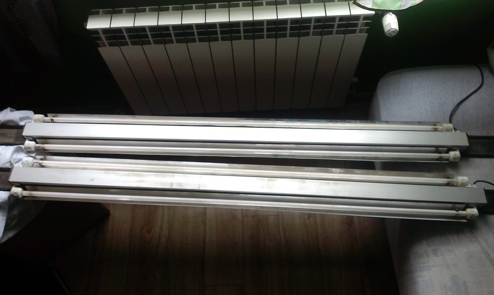 IMAG0197.jpg