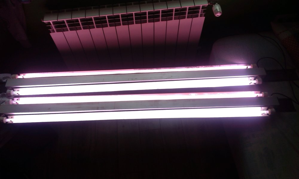 IMAG0198.jpg