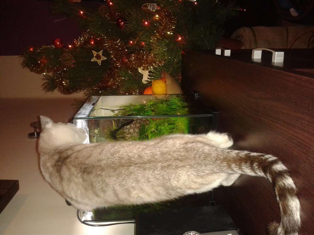 20141226_030352.jpg
