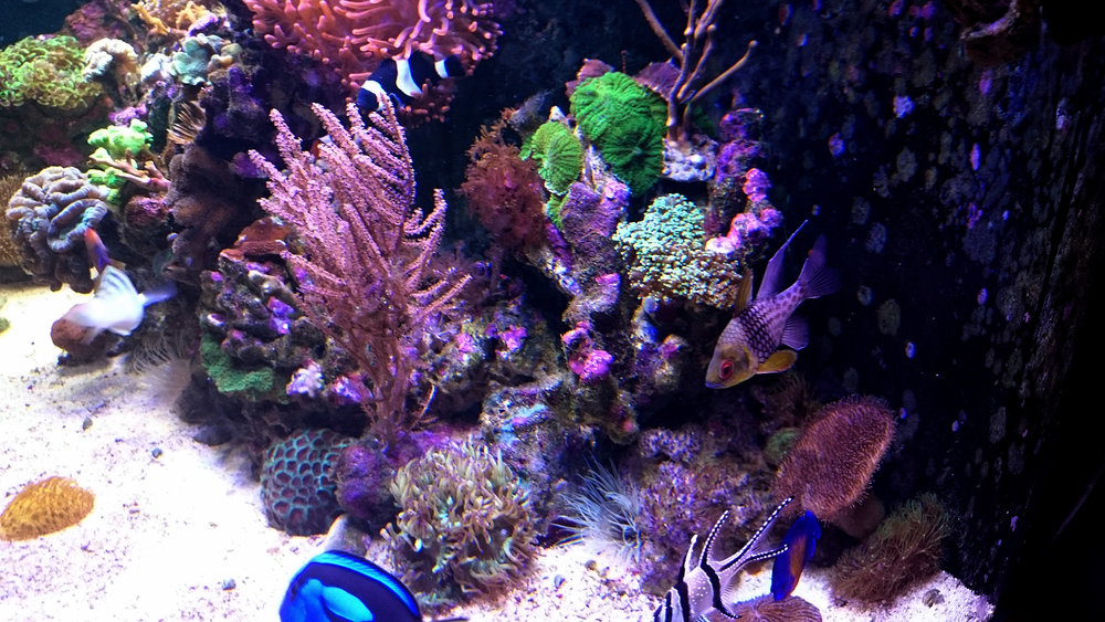 DSC_1012.JPG