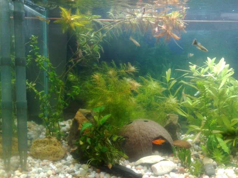20130119502.jpg