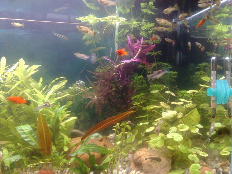 20130119503.jpg