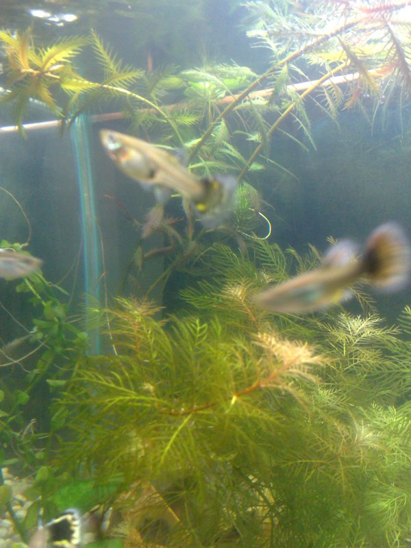 20130119504.jpg