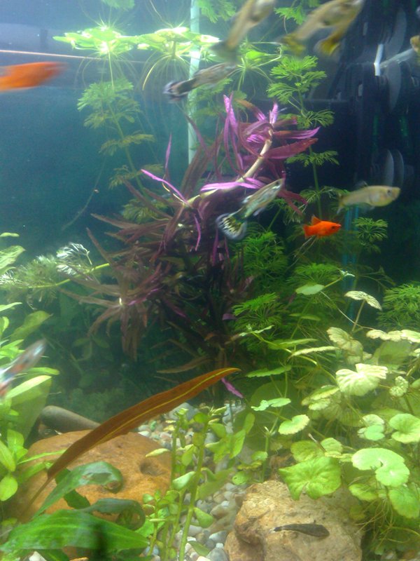 20130119505.jpg