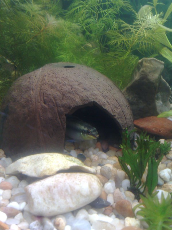 20130119506.jpg