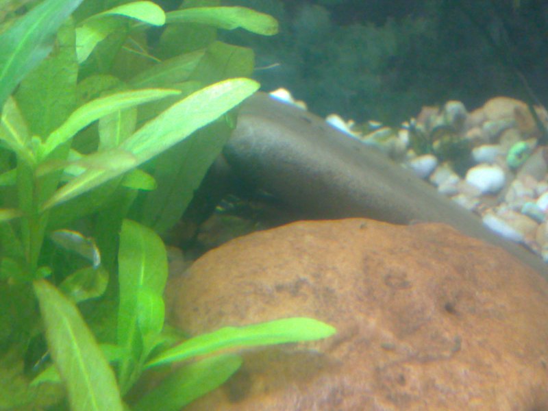 20130119507.jpg