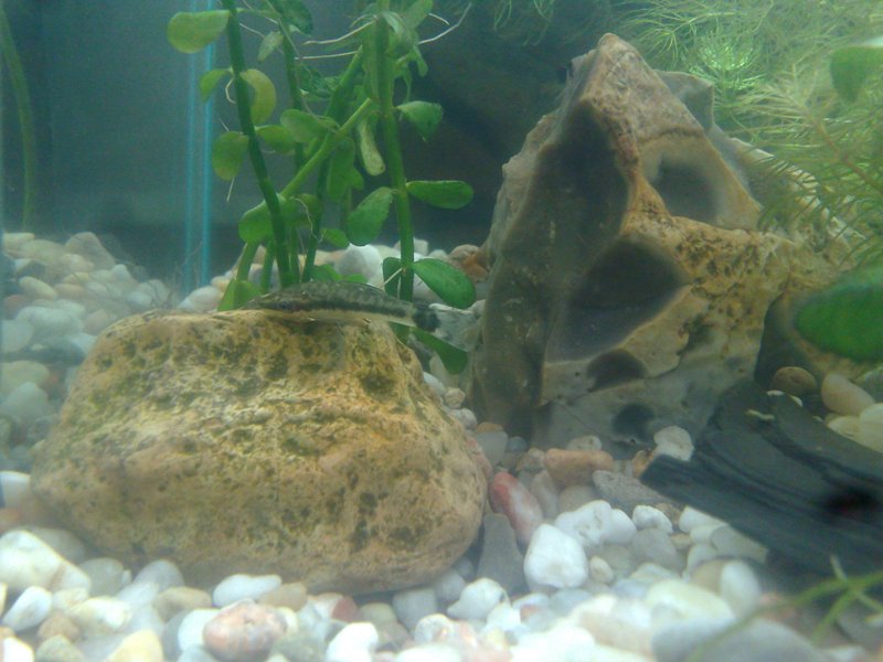 20130119511.jpg