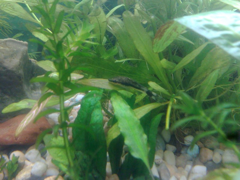 20130119512.jpg