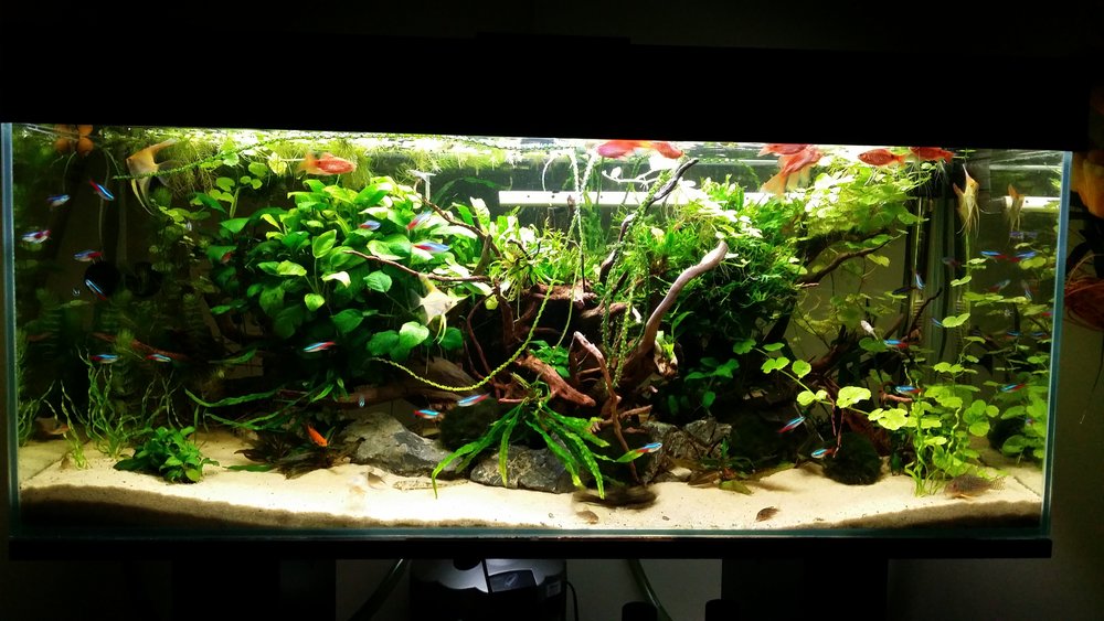 20160224_204541.jpg