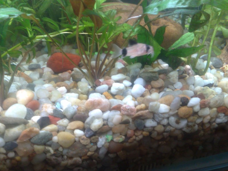20130119514.jpg