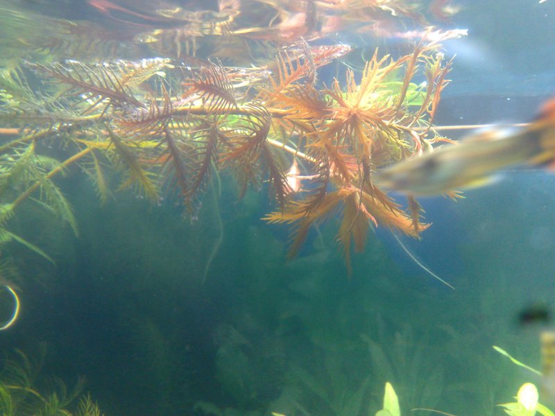20130119515.jpg