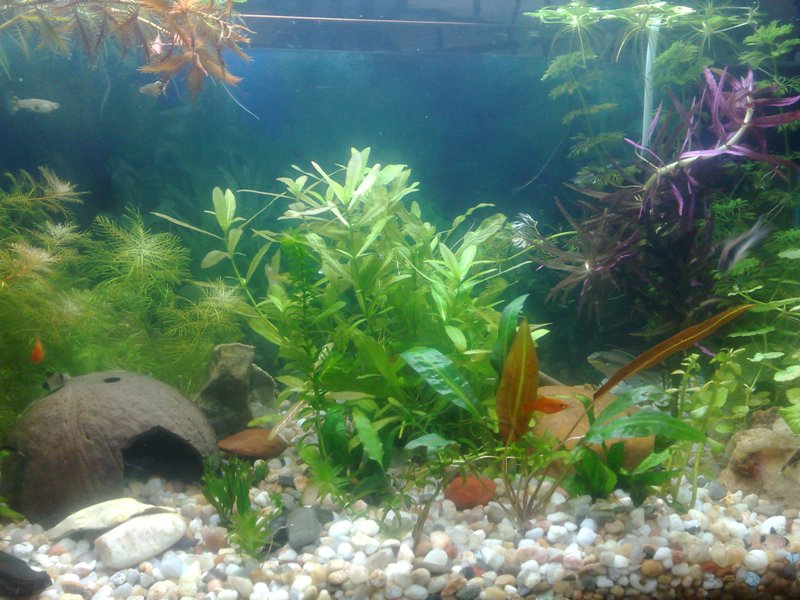 20130119516.jpg