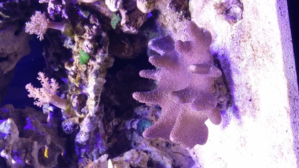 20160502_205453.jpg