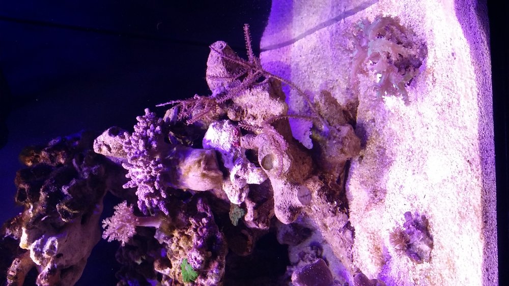 20160502_205504.jpg
