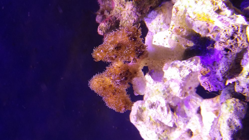 20160502_205521.jpg