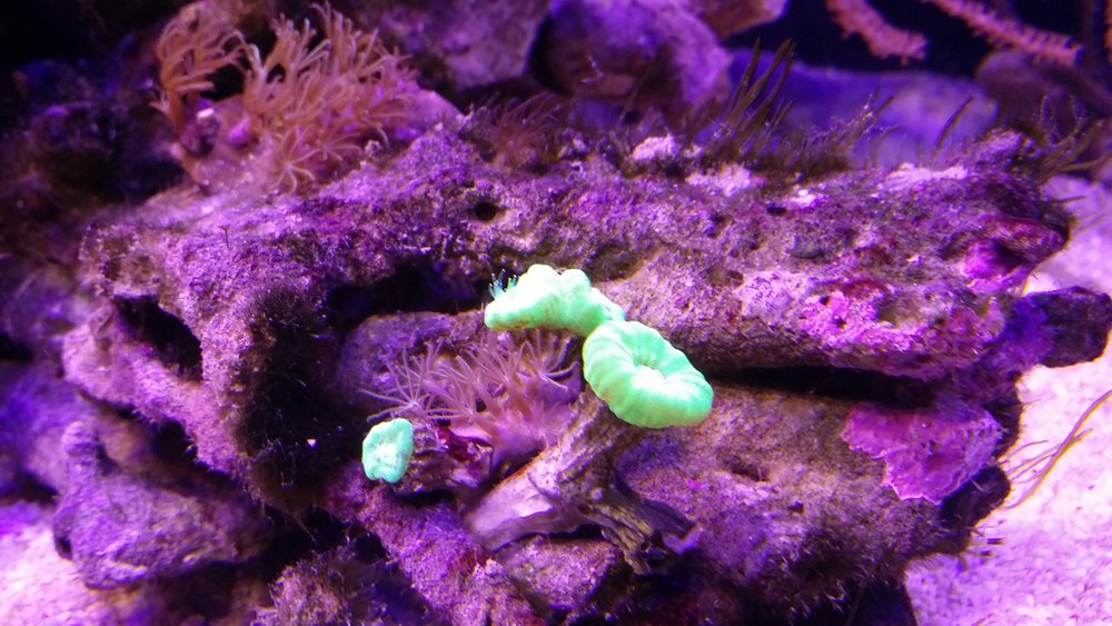 20160510_220806.jpg