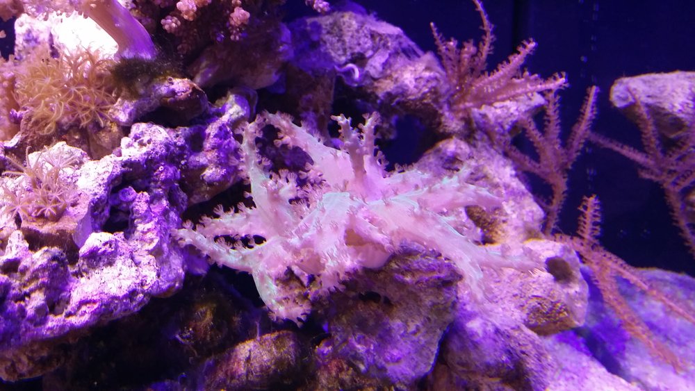 20160510_220818.jpg