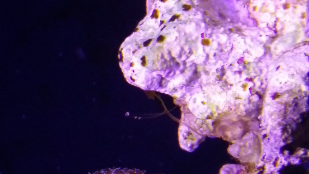 20160510_220839.jpg