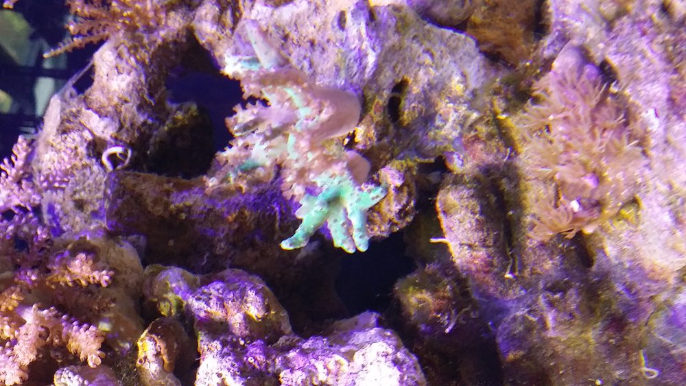 20160511_074642.jpg