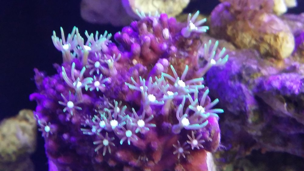 20160514_154309.jpg